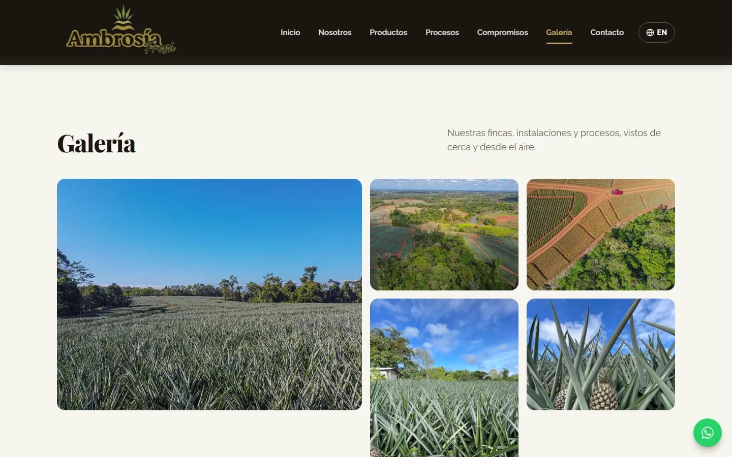 Galería de fotos de las fincas en el sitio de Ambrosía Fresh