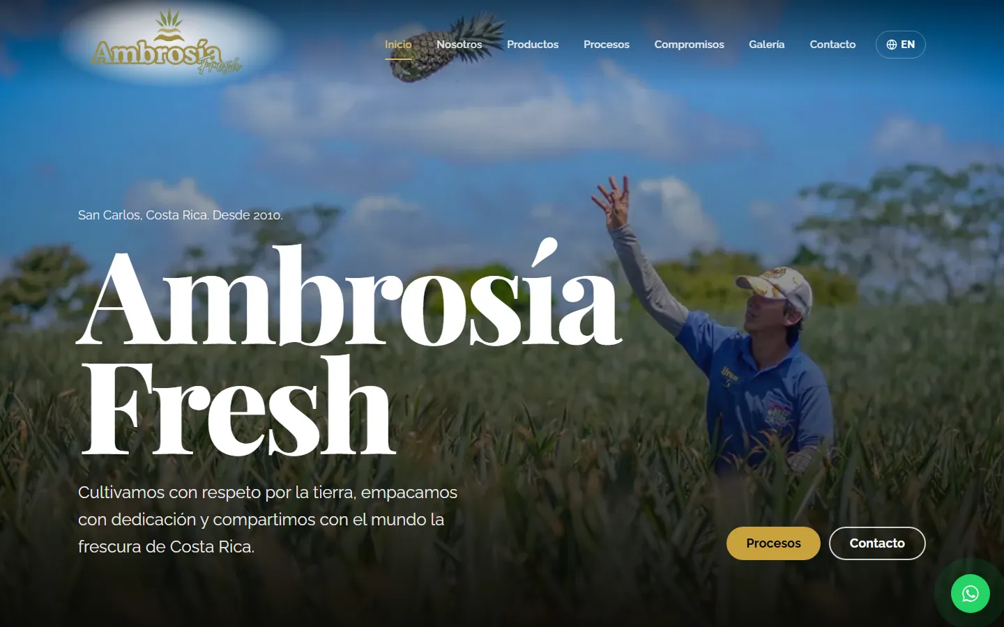 Portada del sitio de Ambrosía Fresh con un trabajador en una plantación de piña